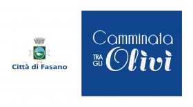 camminata olivi
