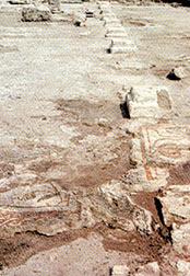 La basilica episcopale